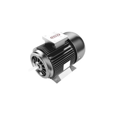 F2 200L2 B3 Felm Vietnam – Động cơ điện