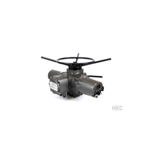 HM-100 Acutator HKC Vietnam