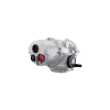 IQM12 F10B3 Actuator Rotork Vietnam